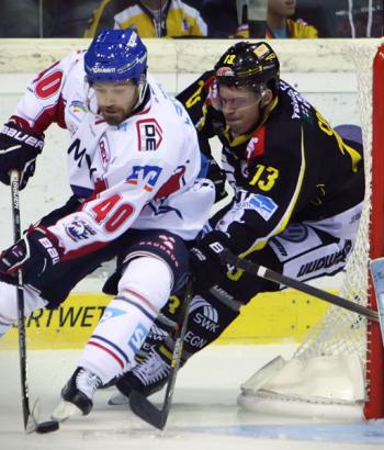 Adler Mannheim Krefeld Pinguine Spielbericht app