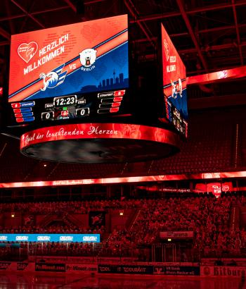 Adler Mannheim NSDLH