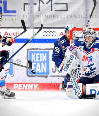 Adler Mannheim PC ERC