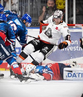 Adler Mannheim PC FRA