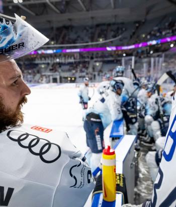 Adler Mannheim PC ING2