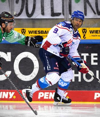 Adler Mannheim PC SCB2