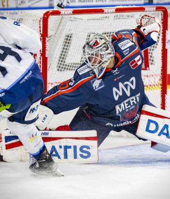 Adler Mannheim PC STR4