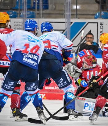 Adler Mannheim Performance Check BHV2