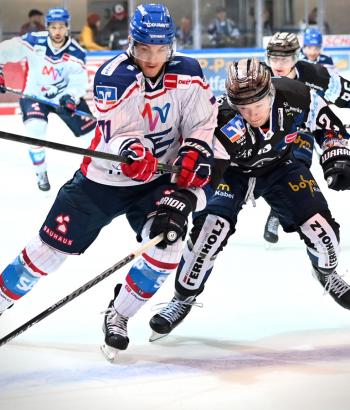 Adler Mannheim Performance Check IEC