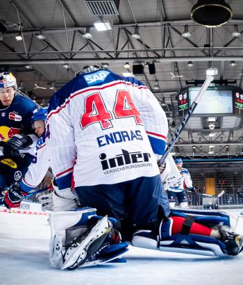 Adler Mannheim Performance Check RBM