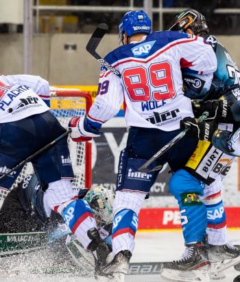 Adler Mannheim Performance Check SCB