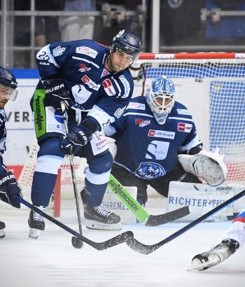 Adler Mannheim Performance Check STR
