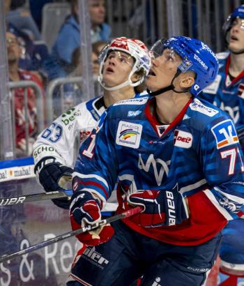 Adler Mannheim Performance Check SWW
