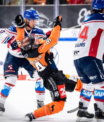 Adler Mannheim Performance Check WOB