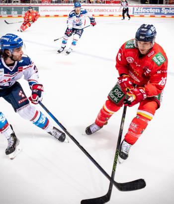 Adler Mannheim Performance Check