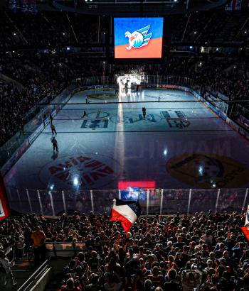 Adler Mannheim Pre Game Show