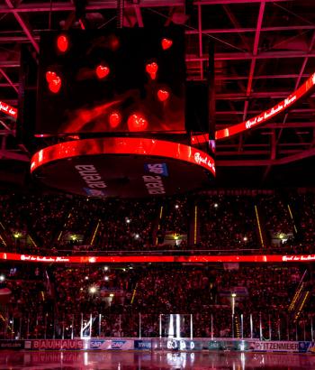 Adler Mannheim Ruecklaeufer SdH