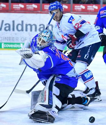 Adler Mannheim SWW3