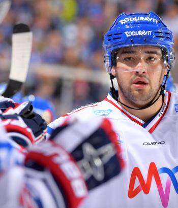 Adler Mannheim SWW