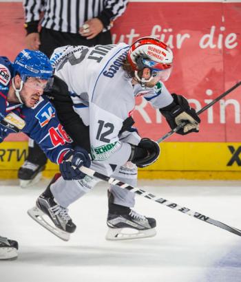 Adler Mannheim Schwenningen Vorbericht app