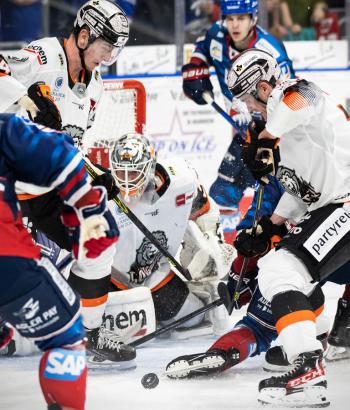 Adler Mannheim Spielbericht FRA2