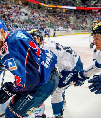 Adler Mannheim Spielbericht Ingolstadt app2