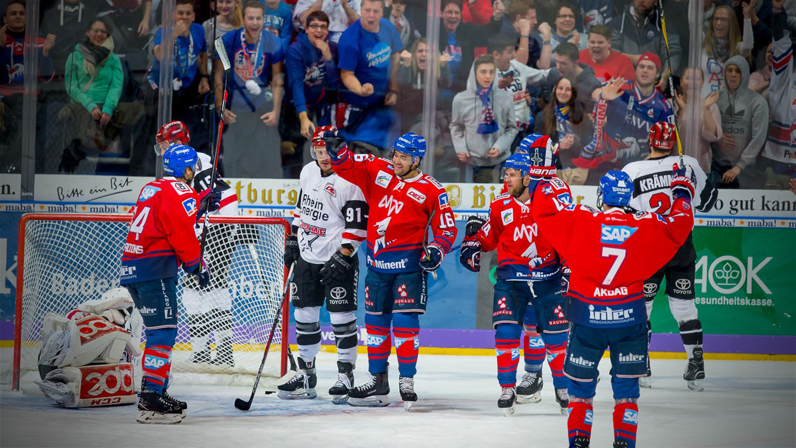 Adler auf Viertelfinalkurs