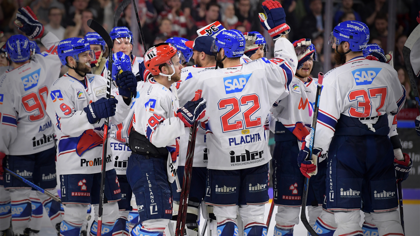 Adler stehen im Finale