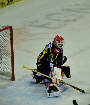 Adler Mannheim Spielbericht Krefeld app