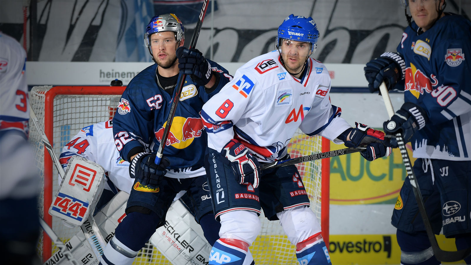 Adler unterliegen München