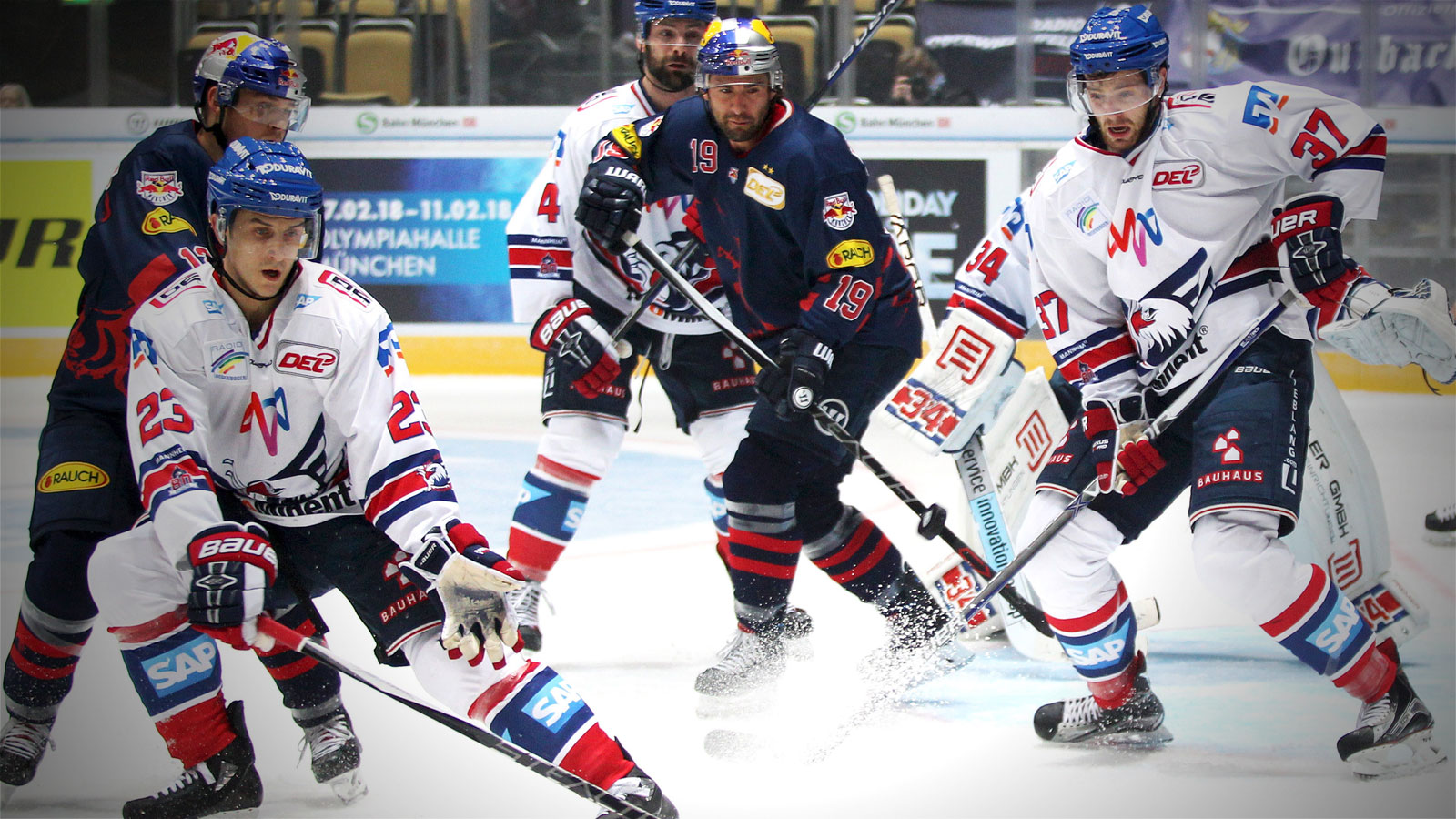 Adler unterliegen München