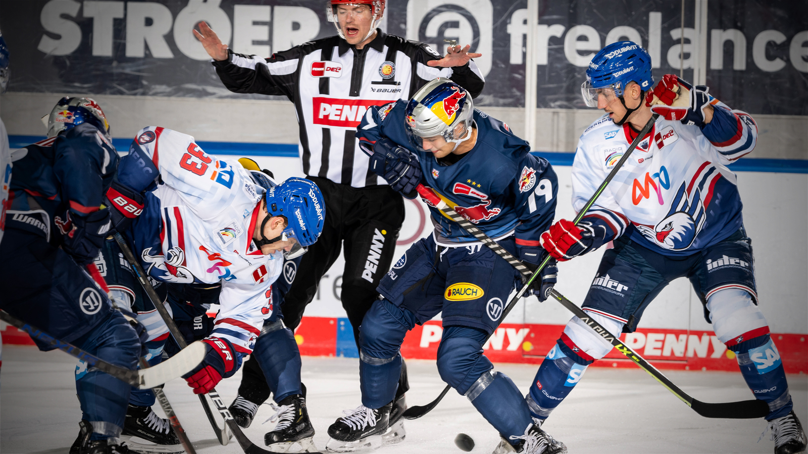 Adler unterliegen München