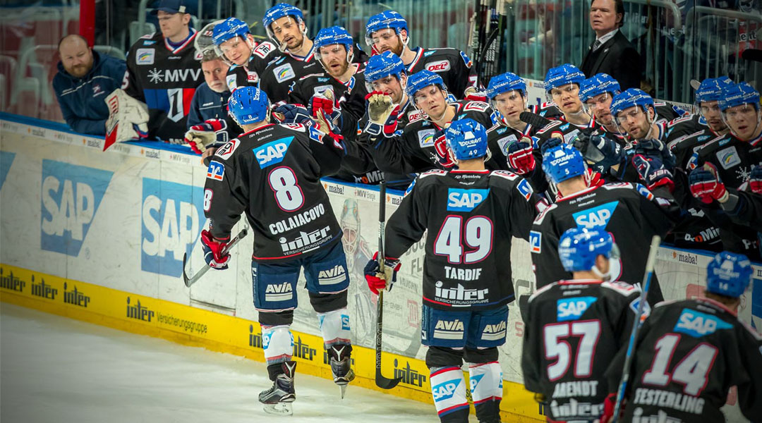 Adler sind nicht zu stoppen