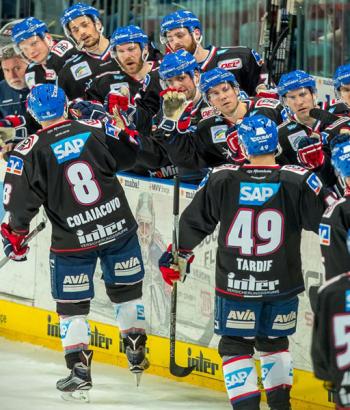 Adler Mannheim Spielbericht WW app