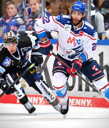 Adler Mannheim Spielverlegung IEC