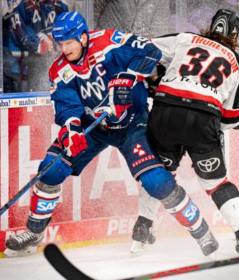 Adler Mannheim Spielverlegung KEC