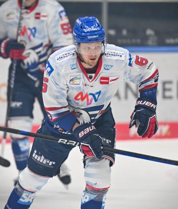 Adler Mannheim Stimmen AEV14