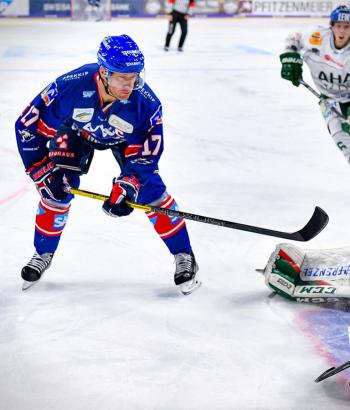 Adler Mannheim Stimmen AEV3