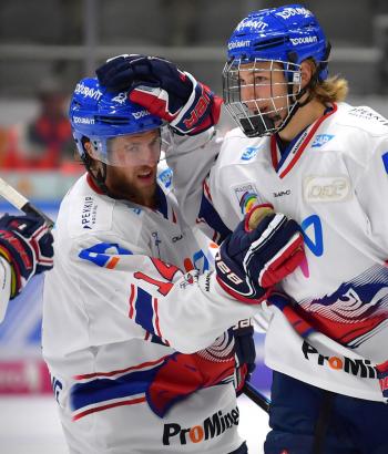 Adler Mannheim Stimmen AEV