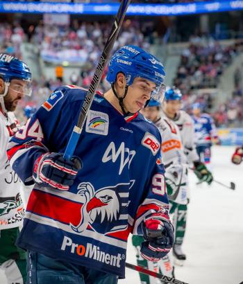 Adler Mannheim Stimmen AUG2