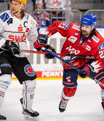 Adler Mannheim Stimmen BHV12