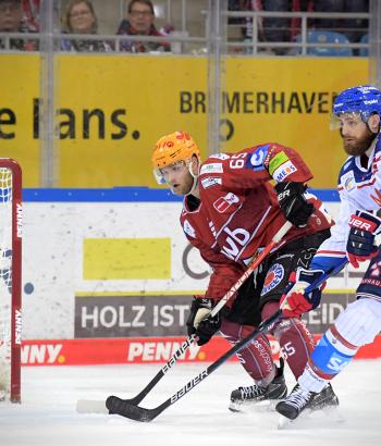 Adler Mannheim Stimmen BHV13