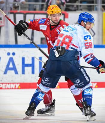 Adler Mannheim Stimmen BHV14