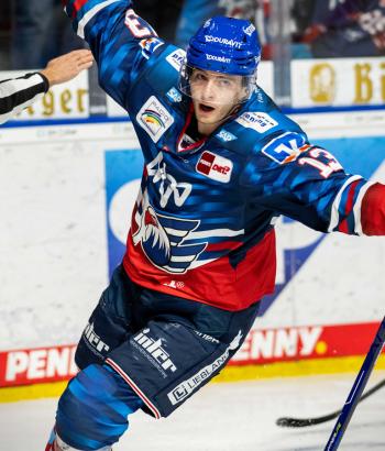Adler Mannheim Stimmen BHV15