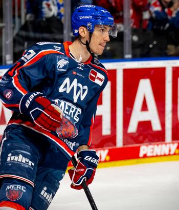 Adler Mannheim Stimmen BHV17
