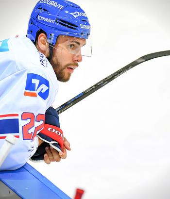 Adler Mannheim Stimmen BHV3