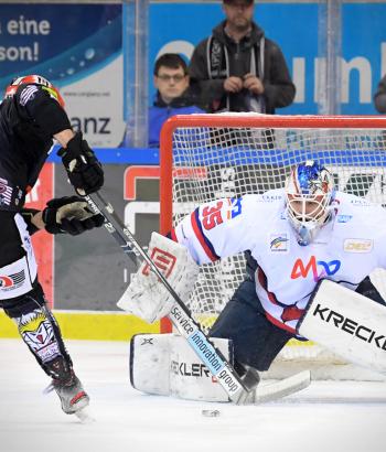 Adler Mannheim Stimmen BHV7