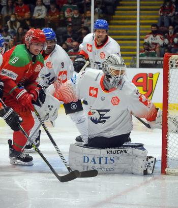 Adler Mannheim Stimmen CAR