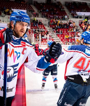 Adler Mannheim Stimmen DEG12