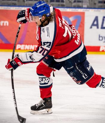 Adler Mannheim Stimmen DEG14