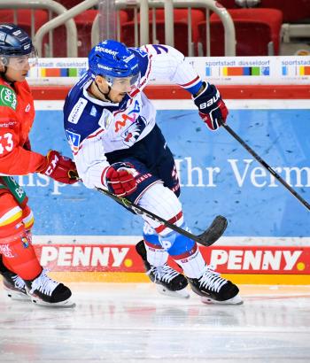 Adler Mannheim Stimmen DEG15