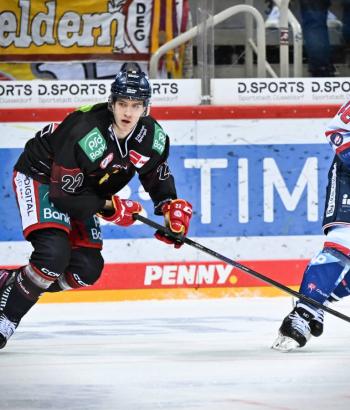 Adler Mannheim Stimmen DEG17