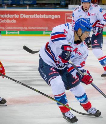 Adler Mannheim Stimmen DEG2