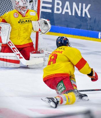 Adler Mannheim Stimmen DEG4